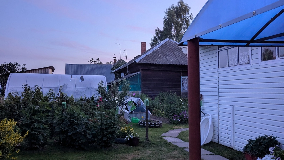 За день избавился от травы между плиток на даче: залил 2 средства в щели - гуляю как по проспекту