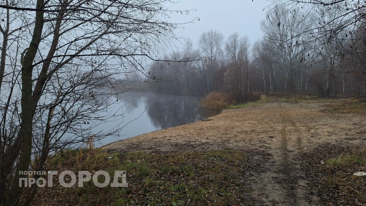 Тело погибшего мужчины достали из пруда в Пильнинском районе