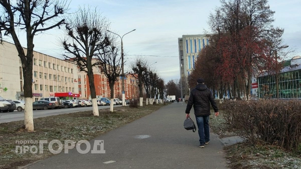 Сообщение с просьбой проголосовать в опросе оставило жителя Володарского района без миллиона рублей
