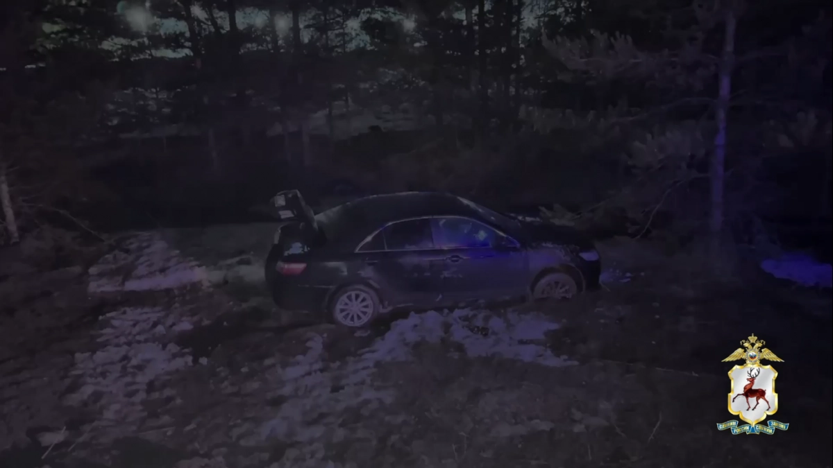 Шестикратно судимый пьяный механик из Арзамаса взял клиентскую иномарку и улетел на ней в кювет