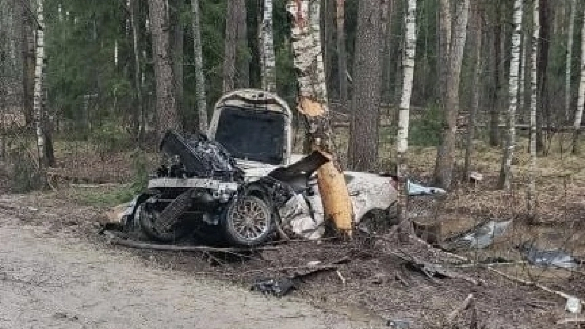 Тройная гибель в жутком ДТП в Ардатовском районе: Лексус вылетел в кювет и врезался в дерево