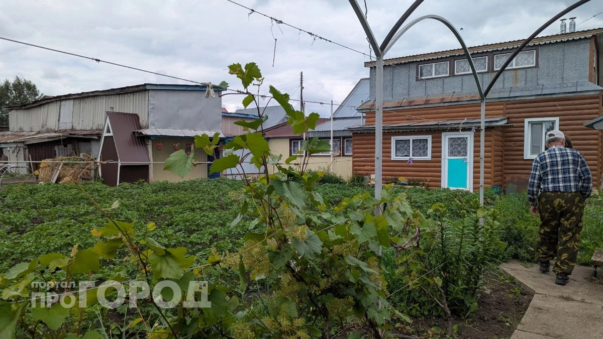 Эта пыль может убить вас на даче: нижегородцам напомнили, как не заразиться ГЛПС при уборке