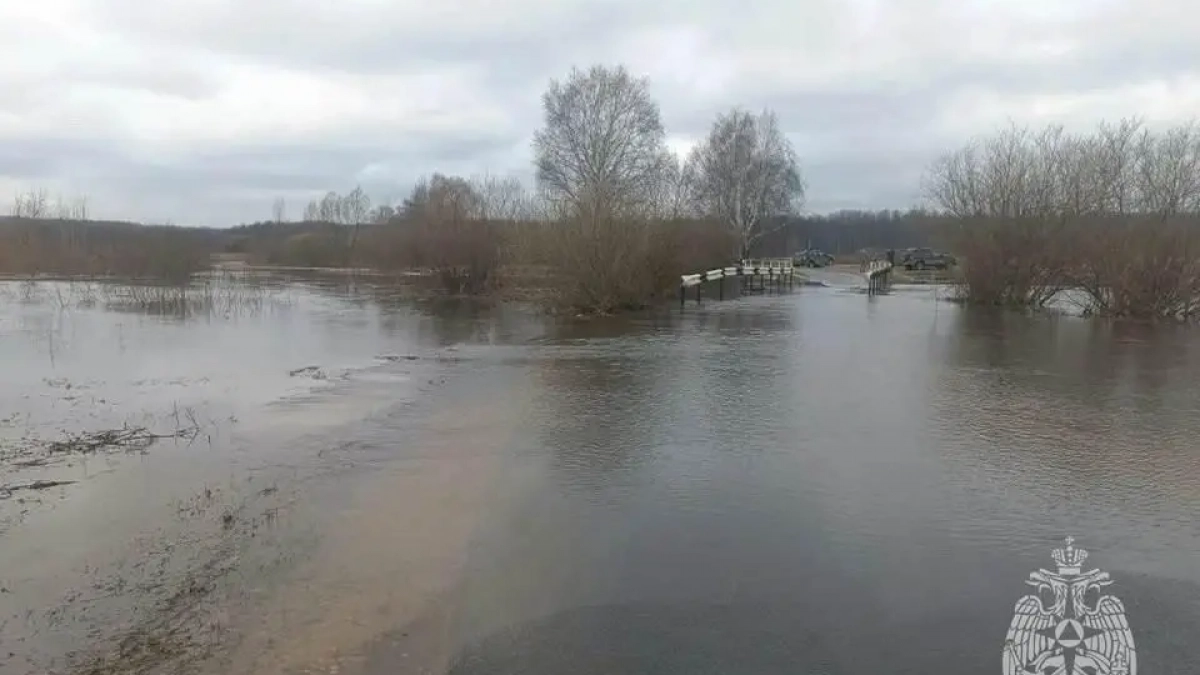 Паводок затопил мост между Щербинино: 13 переправ под водой в регионе