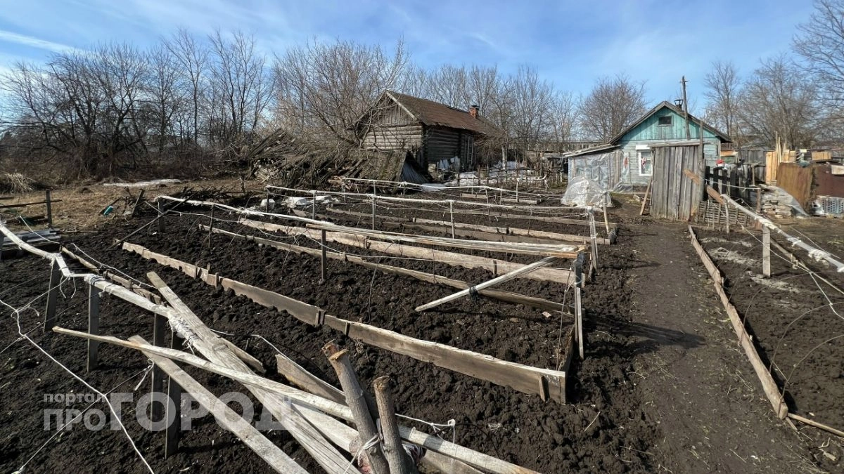Нижегородским дачника рассказали, какие платежи в СНТ нельзя игнорировать