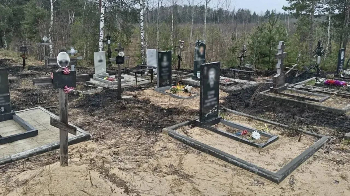 Подростки устроили пожар на кладбище в Нижнем Новгороде
