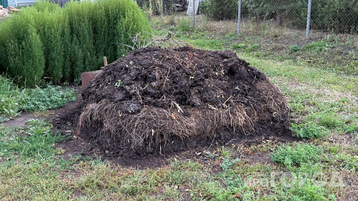 Тратиться на навоз - прошлый век: 3 современные альтернативы, которые работают в 10 раз лучше и стоят дешевле