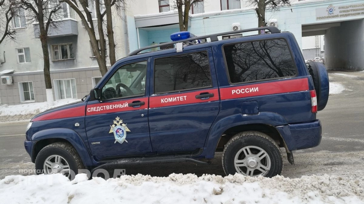 Бастрыкин поручил устроить проверку из-за гибели пациентки в одной из больниц Нижегородской области