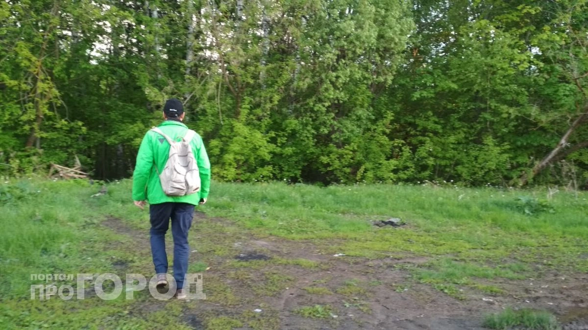 Клещи боятся этого запаха: чем лесники в тайге отпугивают их – и никакой химии