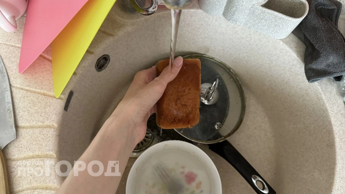Выкиньте губки для посуды: в них живут бактерии, страшнее, чем в унитазе - вот чем моют посуду немцы