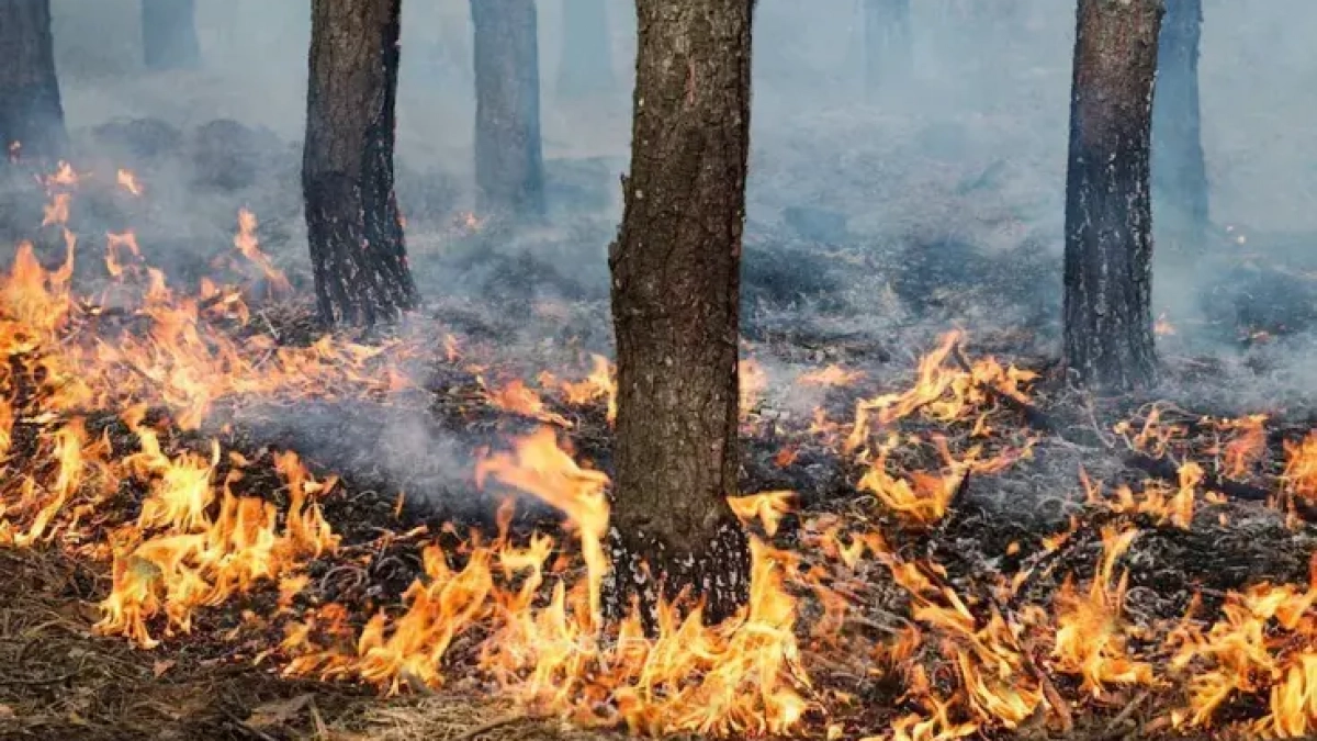 Нижегородская область готовится к пожароопасному сезону: 43 станции и 3400 человек