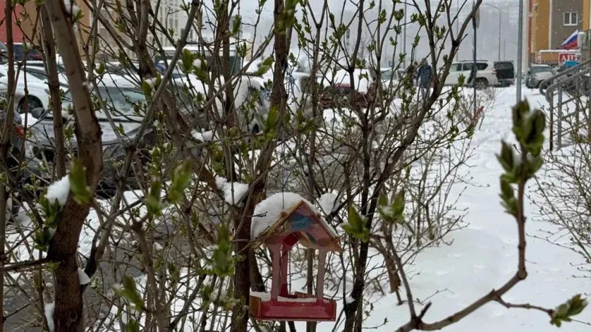 Рекордные осадки в Нижегородской области вызвали всплеск активности на метеоресурсах
