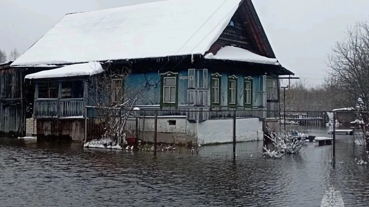 В Нижегородской области затоплено около 80 участков