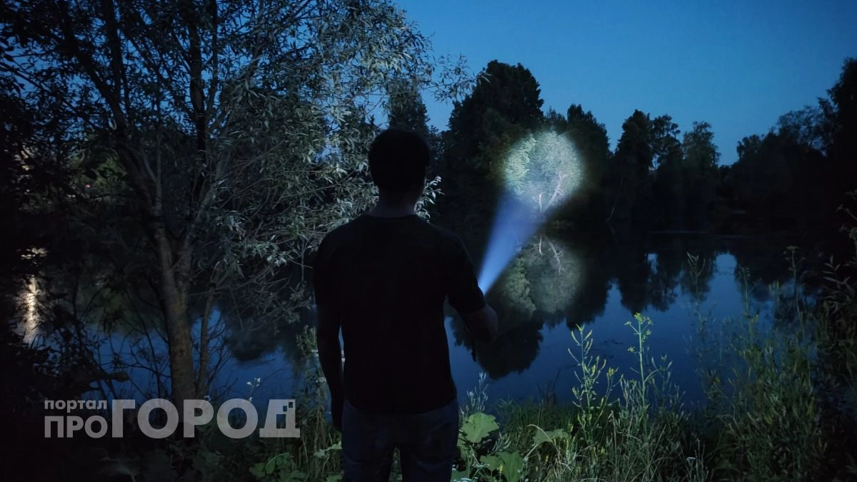 Жители Нижегородской области смогут увидеть весенний звездопад уже этой ночью