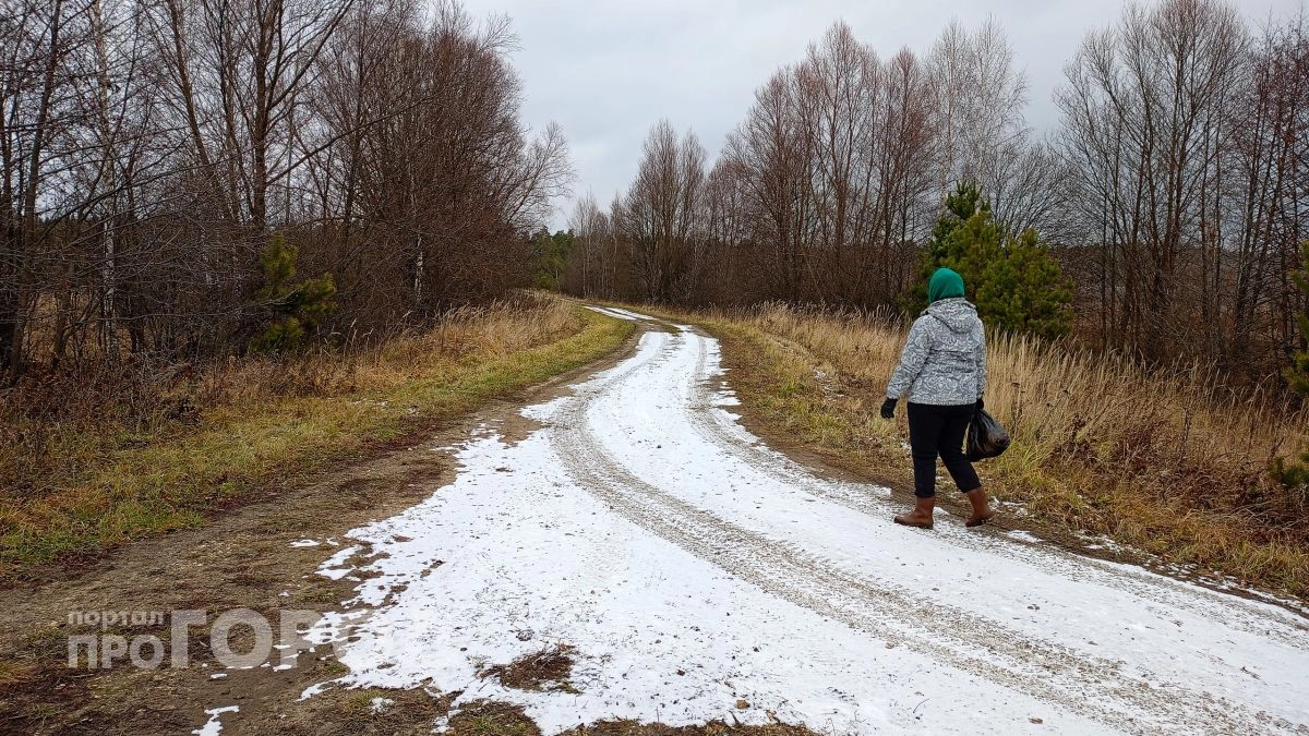 В Нижегородской области выявили новые очаги бешенства