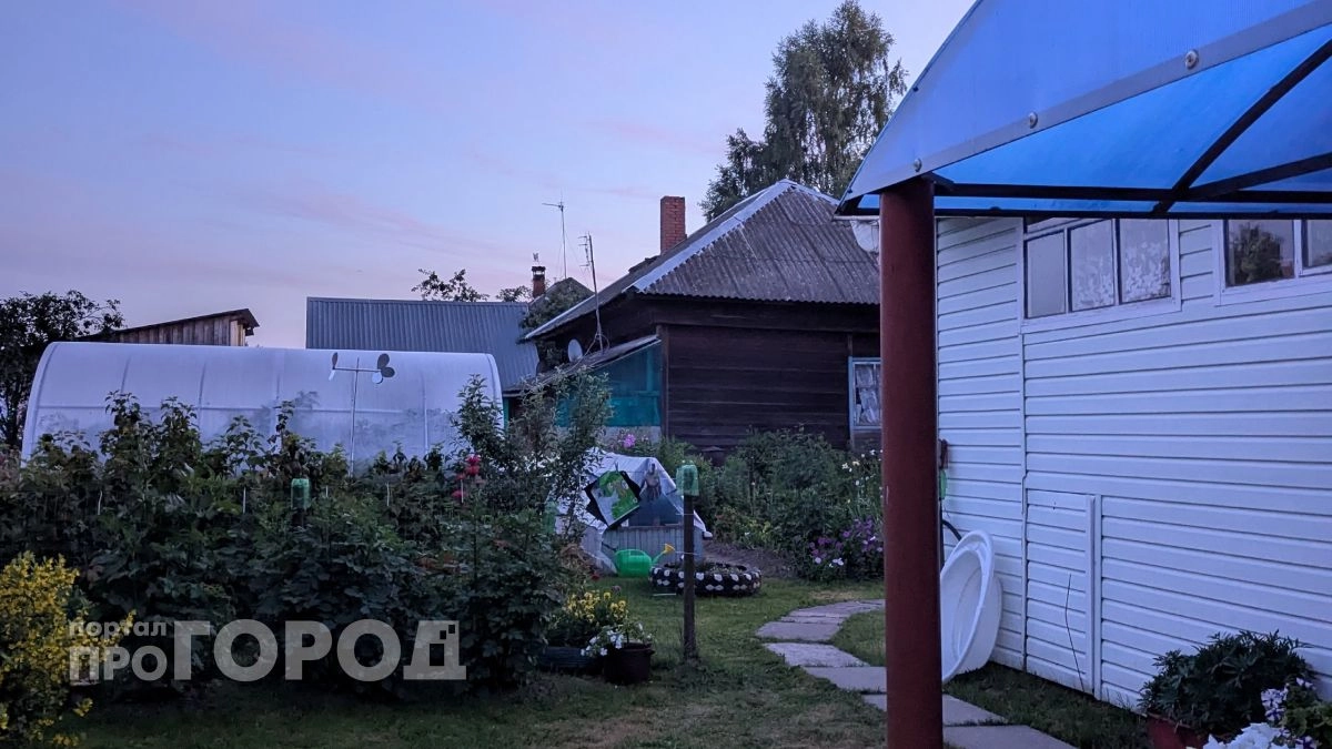 Сорняки взбесились: вылейте это под корень и земля станет пухом, а трава не вырастет 5 лет