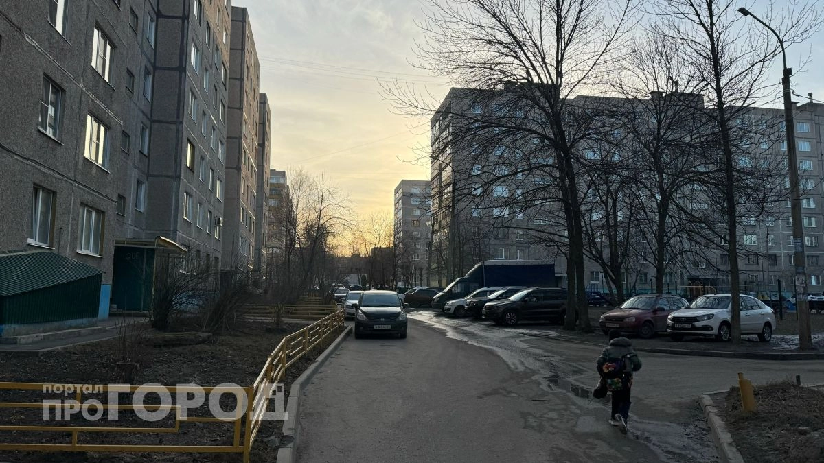 Машина сама себя убивает: эти 3 кнопки в современном авто нажимать нельзя, молчат даже продавцы