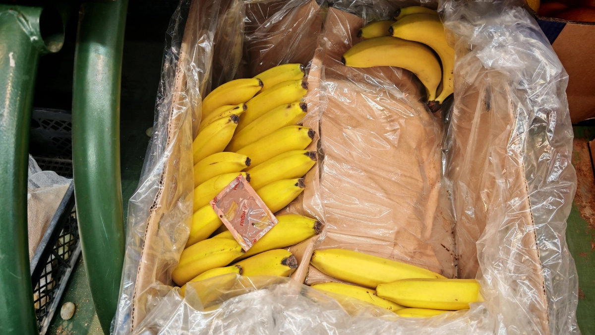 Кожура от бананов теперь дороже золота: вот как применяю в хозяйстве - не мусор, а настоящее сокровище