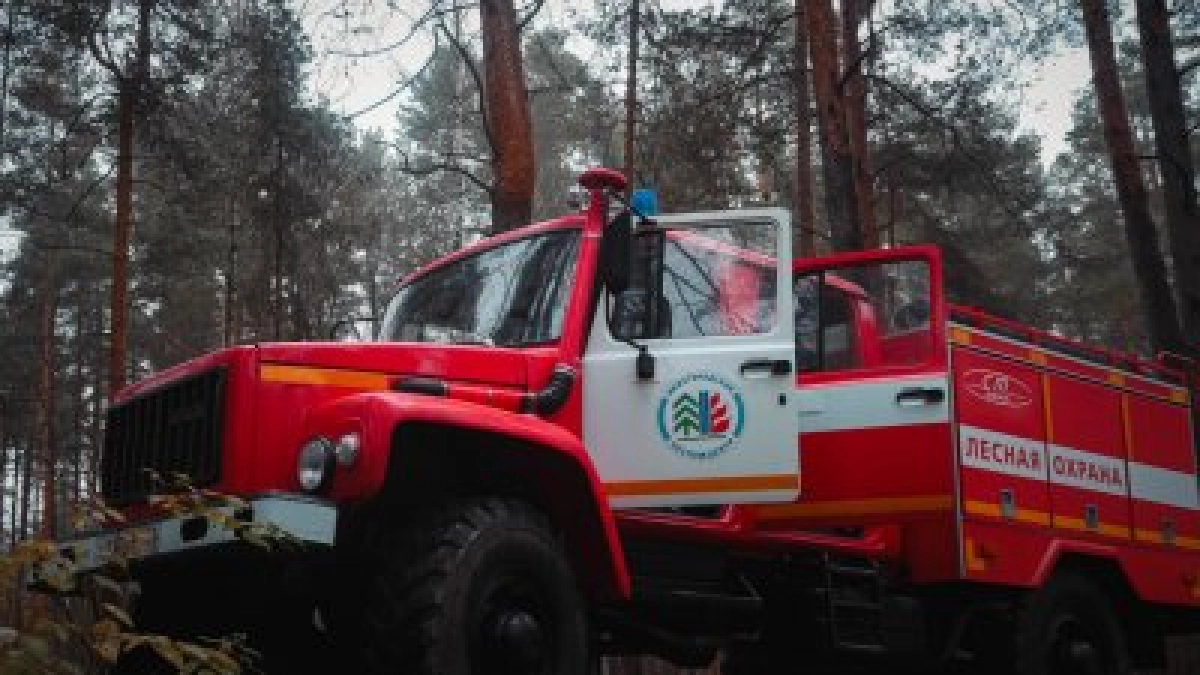 Нижегородскую область подготовили к пожароопасному сезону