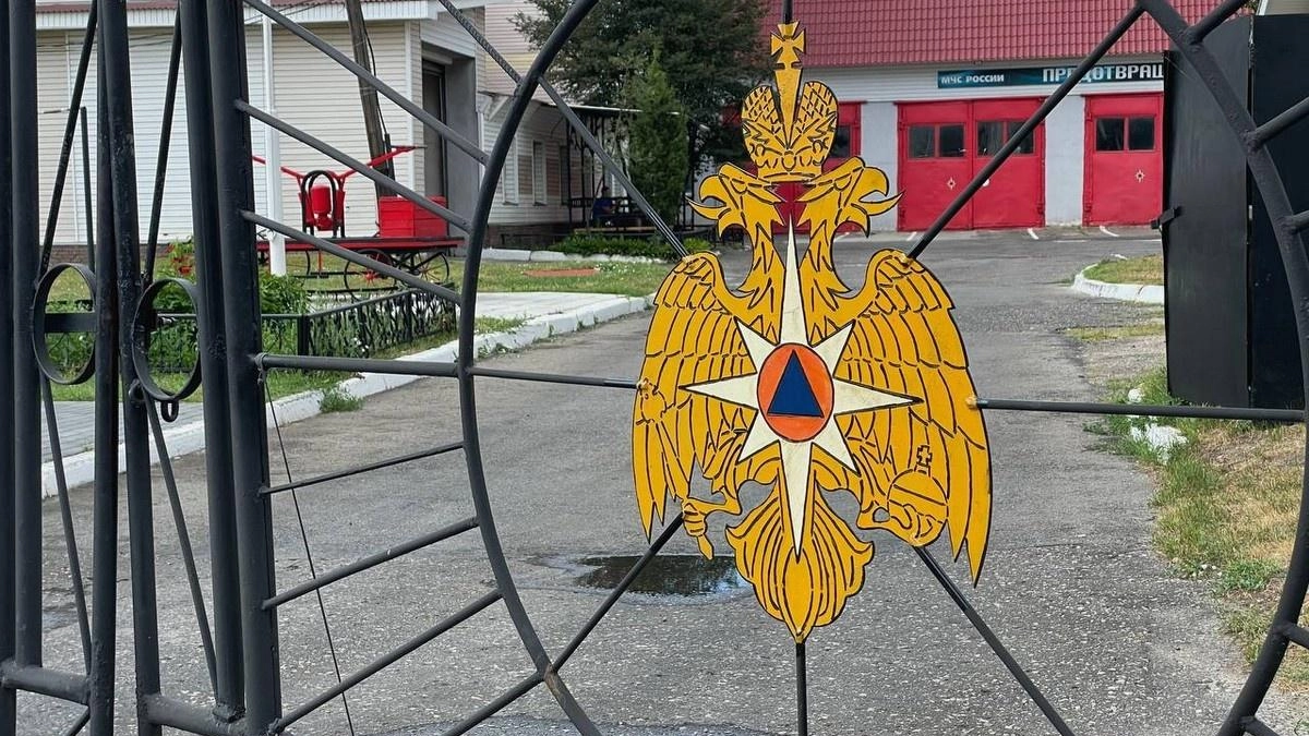 МЧС предупредило о карстовых провалах, пожарах и шквалах в Нижегородской области в мае