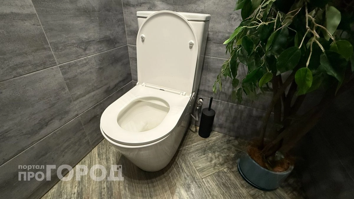 Отмена слива в унитаз ночью: в некоторых регионах уже штрафуют соседей за ночные похождения