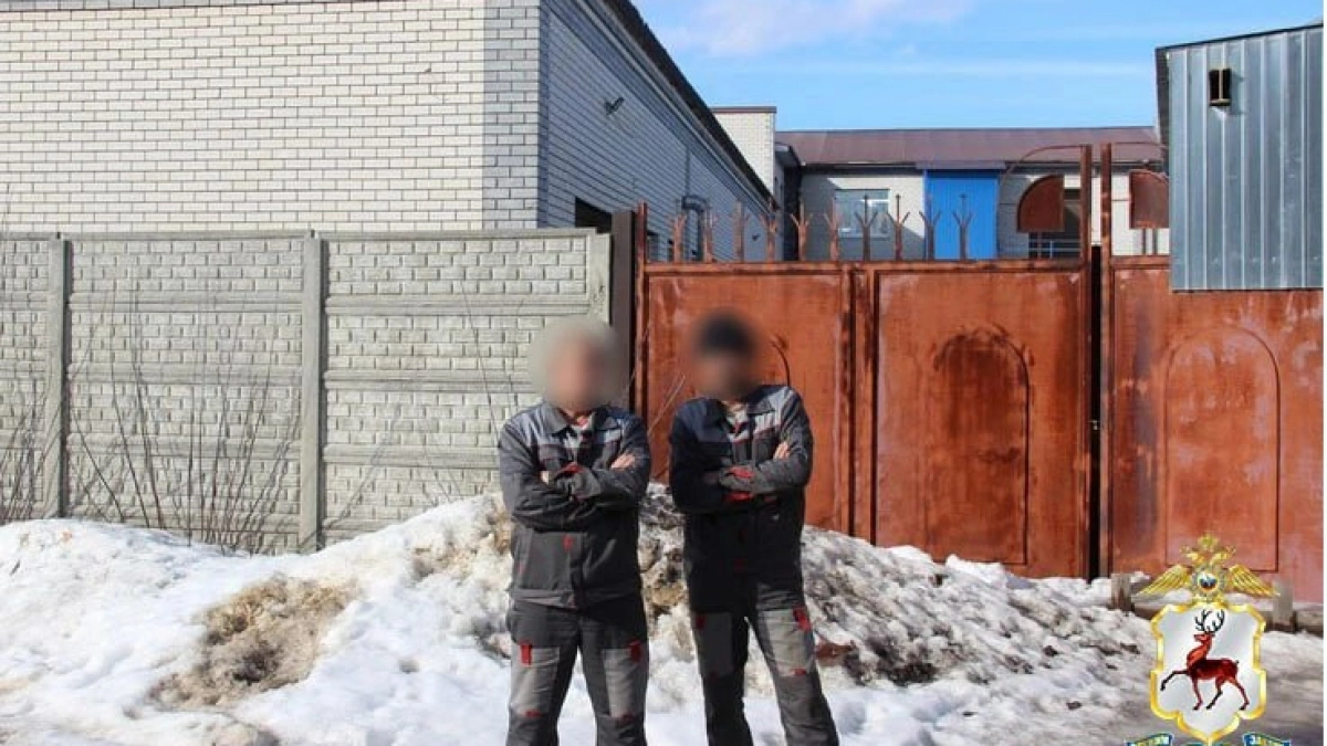 Трое арзамасцев поплатились за помощь нелегальным мигрантам