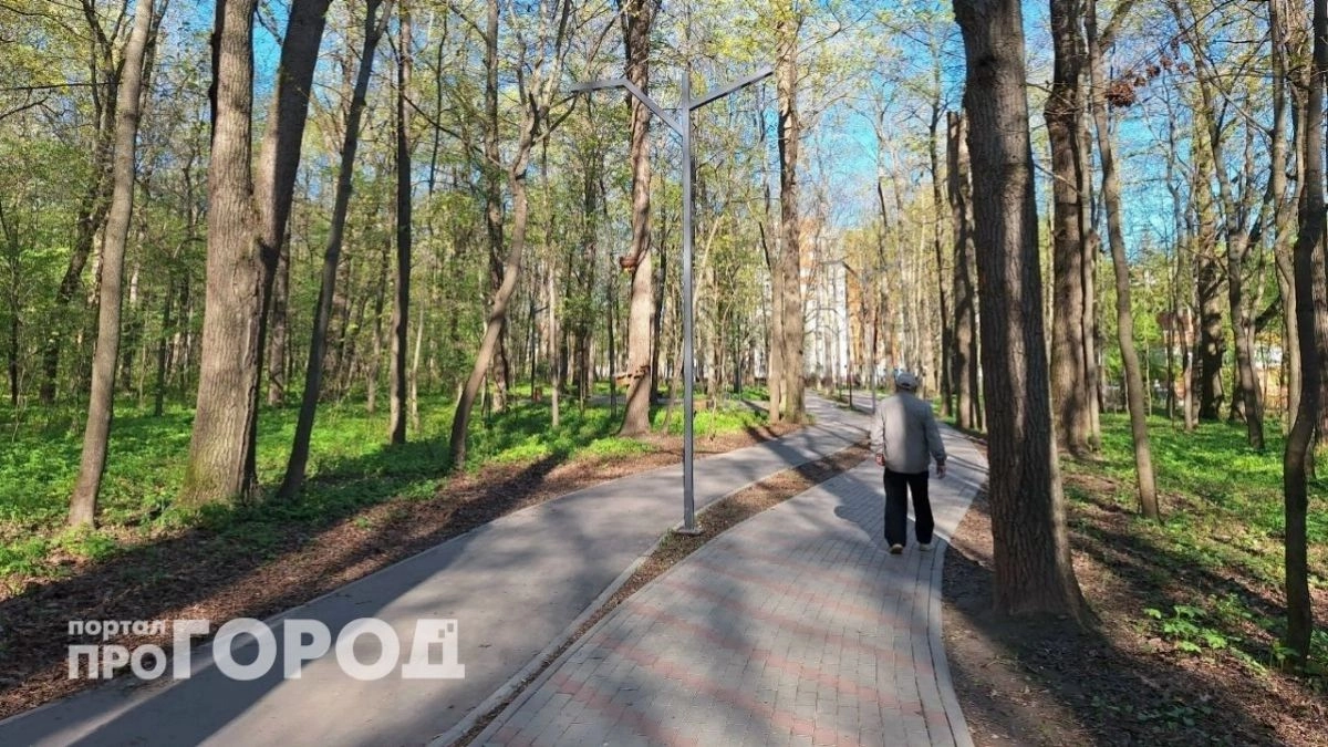 В Шахунье 42‑летнюю женщину поймали с поддельными водительскими правами