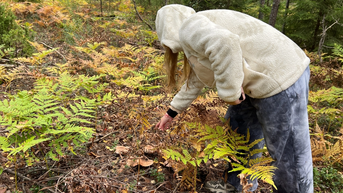 Если услышали этот звук - бегите немедленно: 6 звуков русского леса, которые никогда нельзя игнорировать
