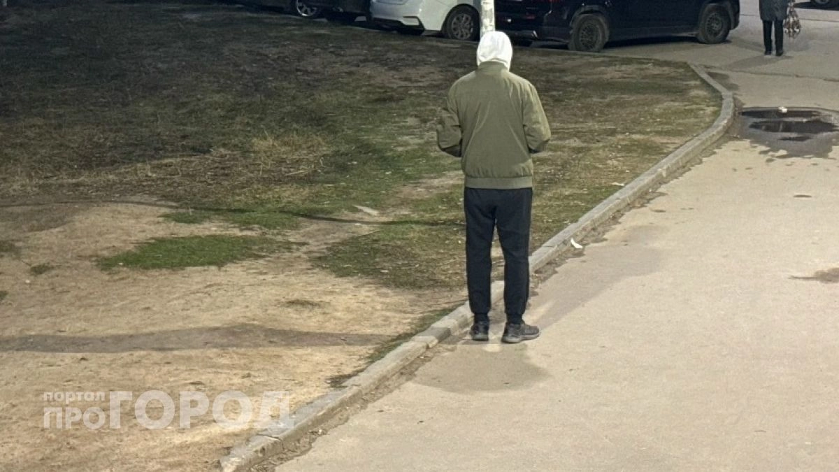 20-летний житель Богородска перевел 25 000 за ВАЗ-2106 и обратился в полицию из-за пропажи продавца