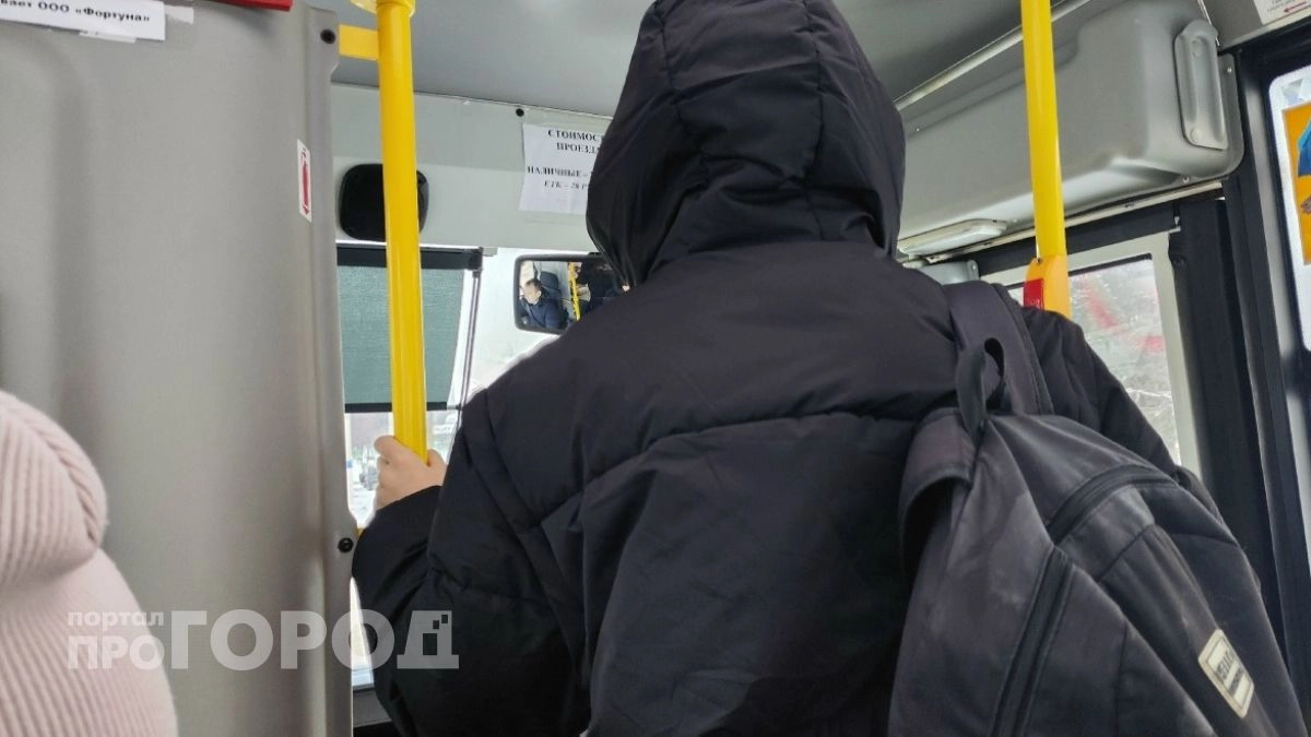 Легкая подработка обернулась для двух жителей Нижегородской области уголовным делом 