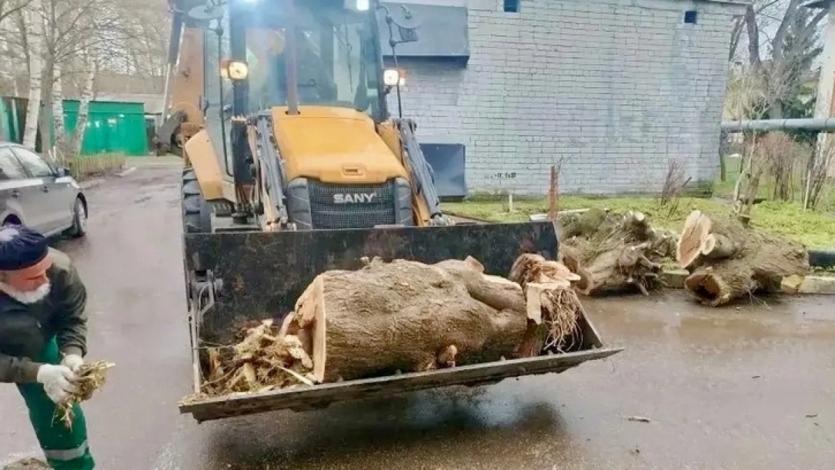 Штормовой ветер повалил 18 деревьев в Нижнем Новгороде