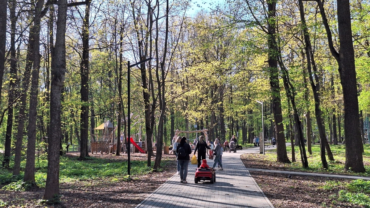 Деньги есть, но не для вас: почему государство отказывает в пособиях даже нуждающимся семьям