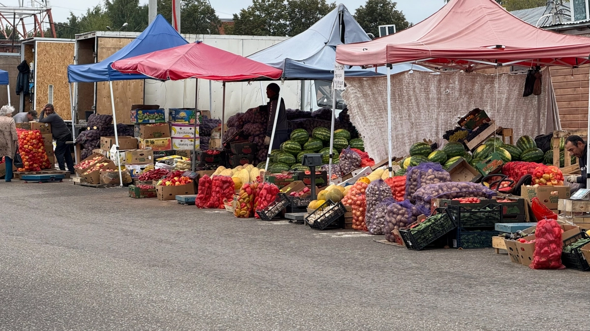 Жестко бьет по почкам: в Европе этот овощ убрали со стола, а мы все еще едим