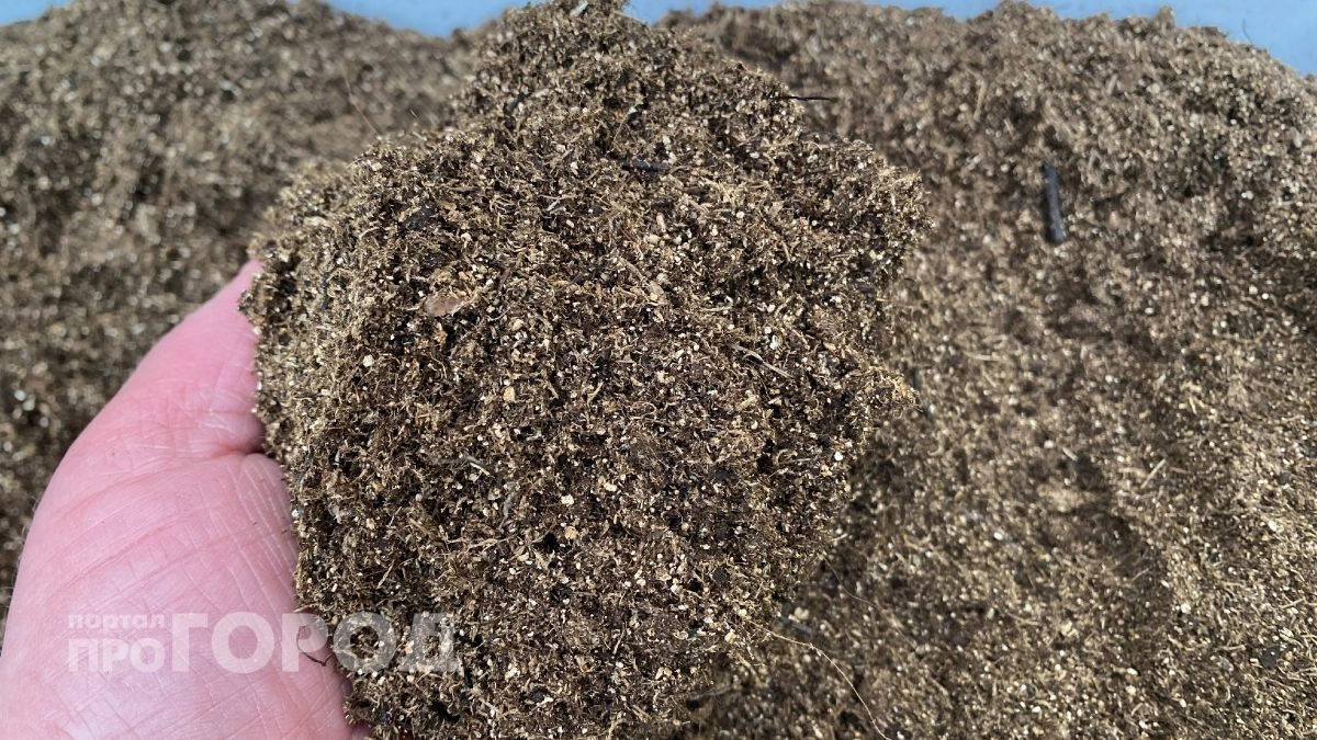 Выглядит некрасиво, но работает безотказно: мой копеечный способ подготовки грунта для мощной рассады