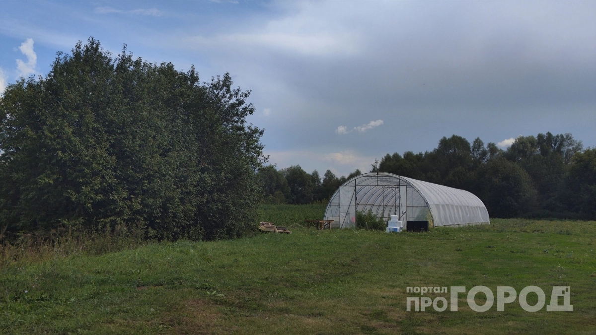 Поставил теплицу на даче — лишился 10 тысяч: юрист рассказал как новый закон ударит по дачникам 