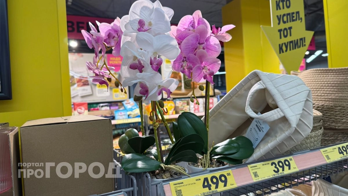 Бегу 30 апреля в Чижик за мебелью для сада: этот завоз станет решающим для всех дачников 