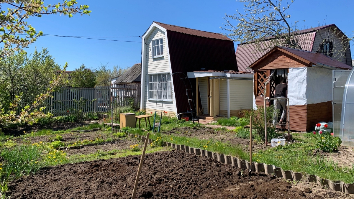 Купила дом-развалюху в глухомани и занялась бизнесом: 40 банок домашних заготовок в день приносят 300 тыс ежемесячно