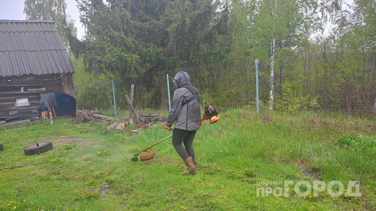 Косить траву лёской с триммером - прошлый век: сосед показал быстрый и простой способ покоса без дорогой лески