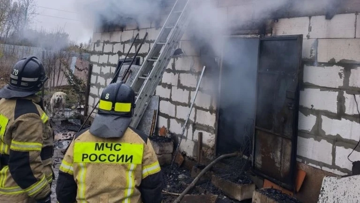 До 200 собак могли погибнуть при пожаре в Нижнем Новгороде 