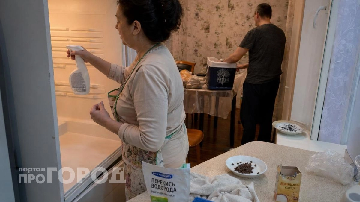 Холодильник источает резкий запах: простое действие с обычными продуктами решит проблему за одну минуту