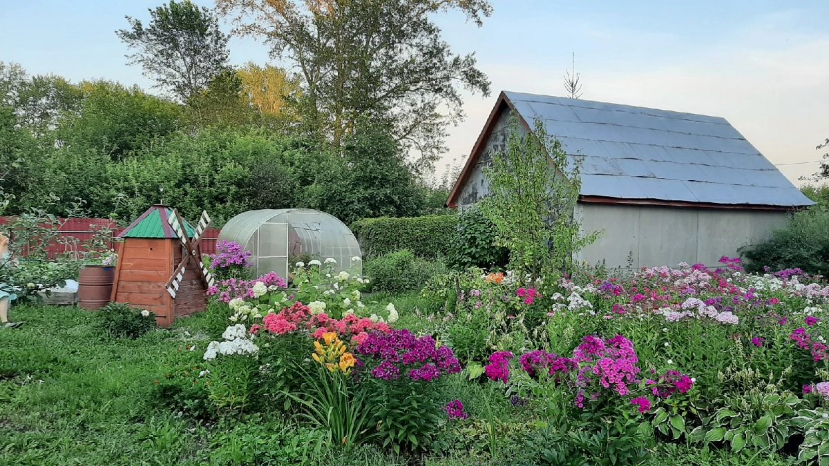 Мои соседи в шоке: зачем я закапываю яичную скорлупу под кусты роз и смородины весной