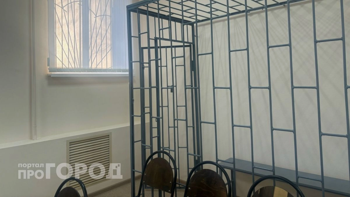 За опасную находку жителя Сарова отправили в колонию на 6,5 лет