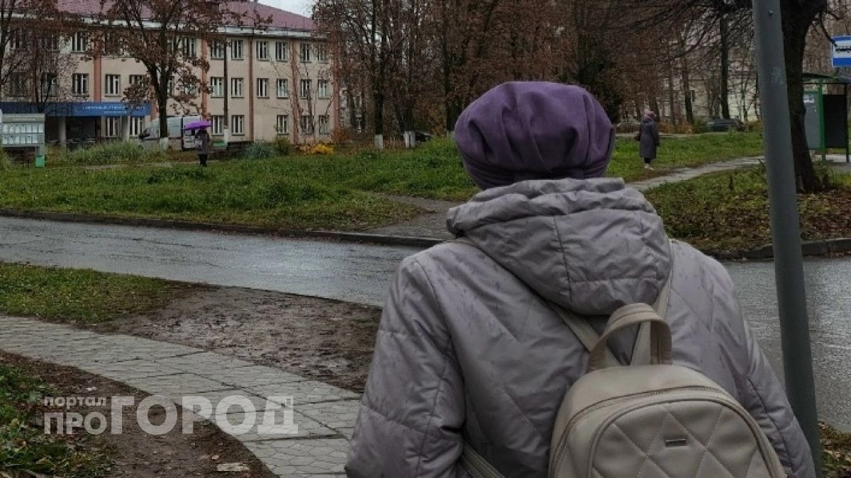 Испугавшись вымышленных переводов, нижегородская пенсионерка лишилась 880 000 рублей