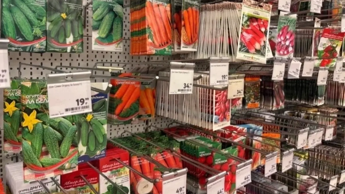 В Нижегородской области продавали семена овощей вне госреестра