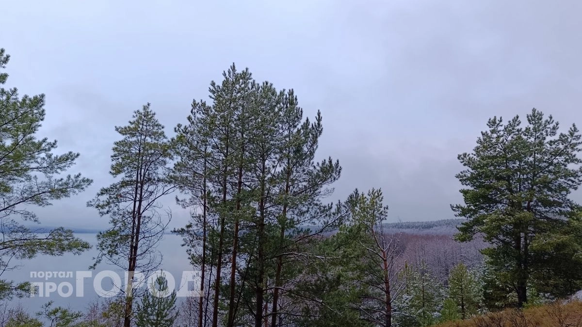 В Нижегородской области ввели жесткий противопожарный режим