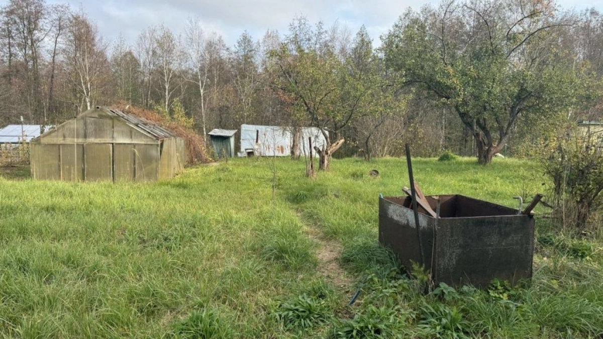 В Нижегородской области выявили более 100 случаев самозахвата земли в 2025 году