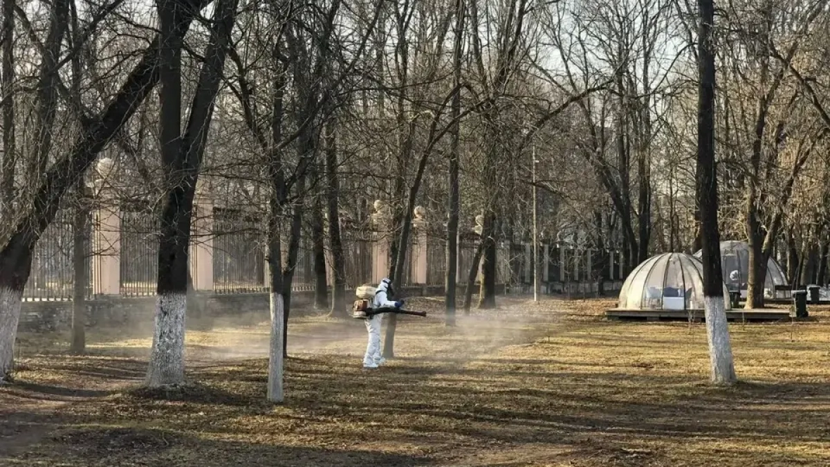 10 парков Нижнего Новгорода закроют на обработку от клещей с 4 мая