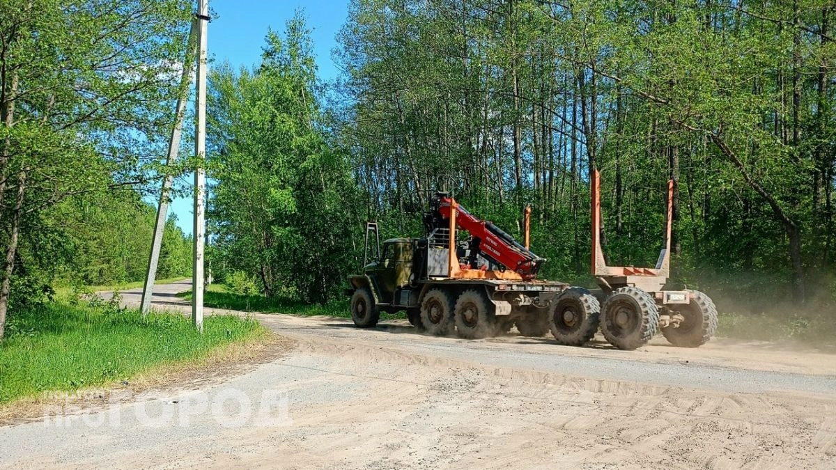 Суд вынес приговор директору фирмы, который воровал деньги при вырубке аварийных деревьев в Балахне 