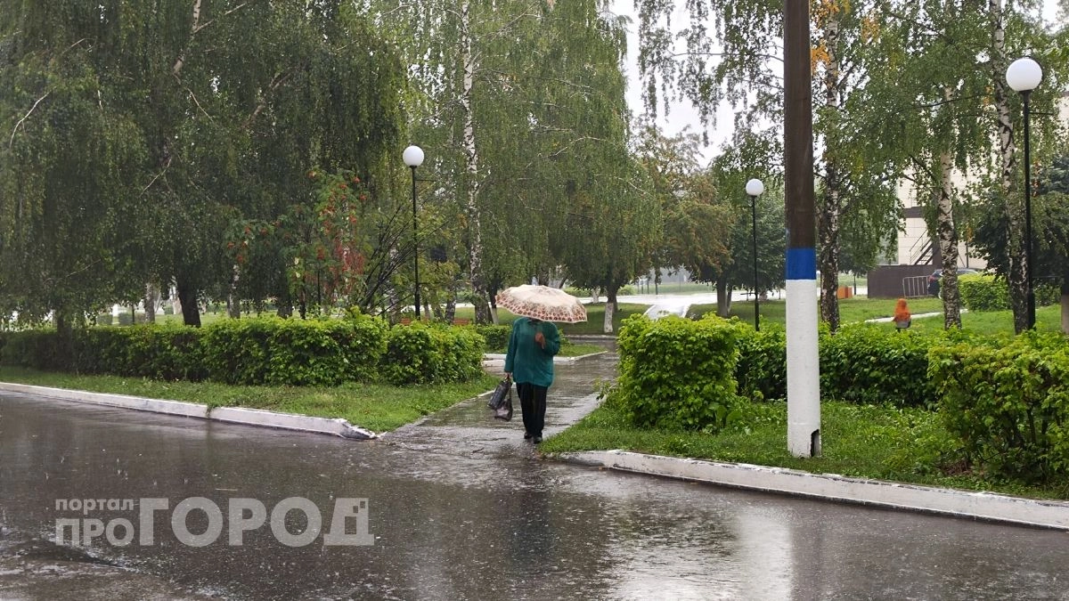 Жара в майские каникулы отменяется: нижегородцев ждет полоса дождей к 9 мая