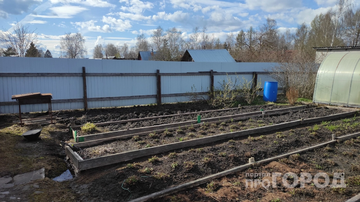 Насыпьте в мае в бочку для полива 15 ложек средства: все будет расти как на дрожжах — скорая помощь для голодной земли