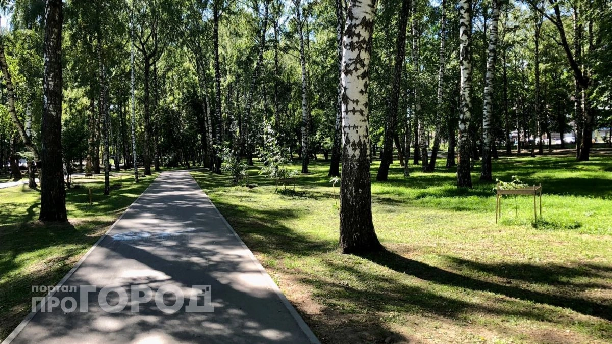 Парк имени 1 Мая в Нижнем Новгороде отправят на третий этап благоустройства